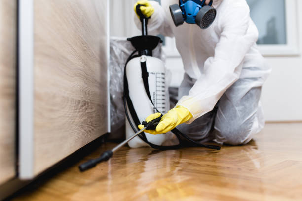 Best Pest Control Near Me in Rockville Centre, NY