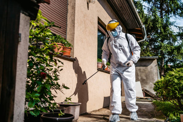 Best Pest Control Near Me  in Rockville Centre, NY