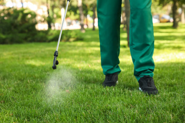 Best Pest Inspection Near Me  in Rockville Centre, NY