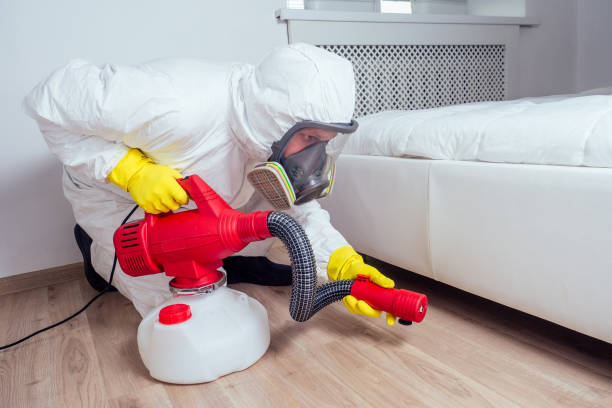 Best Pest Prevention Services  in Rockville Centre, NY