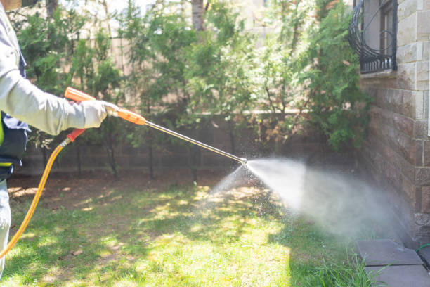 Pest Prevention Services in Rockville Centre, NY