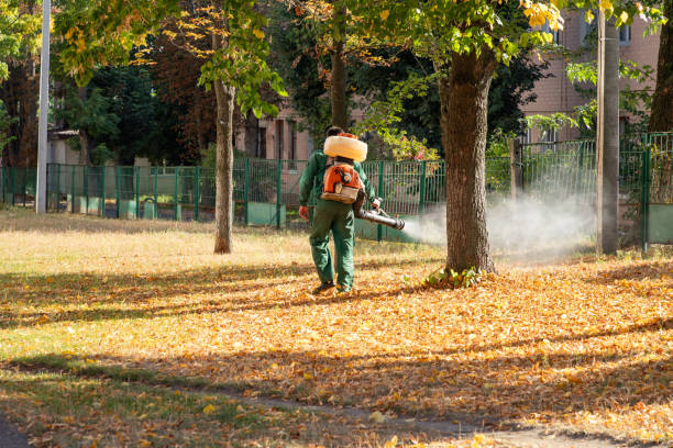 Best Affordable Pest Control Services  in Rockville Centre, NY