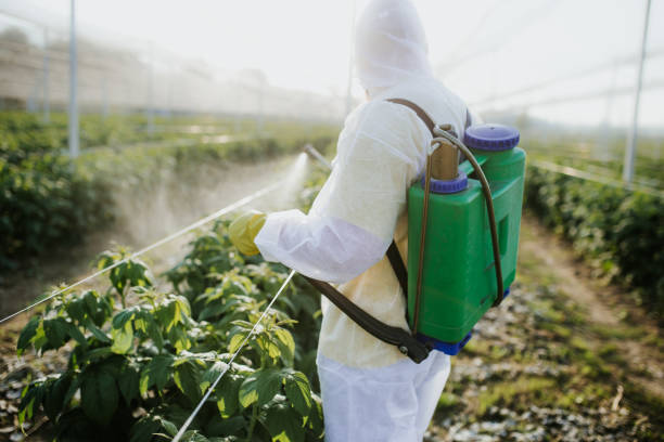 Best Best Pest Control Companies  in Rockville Centre, NY